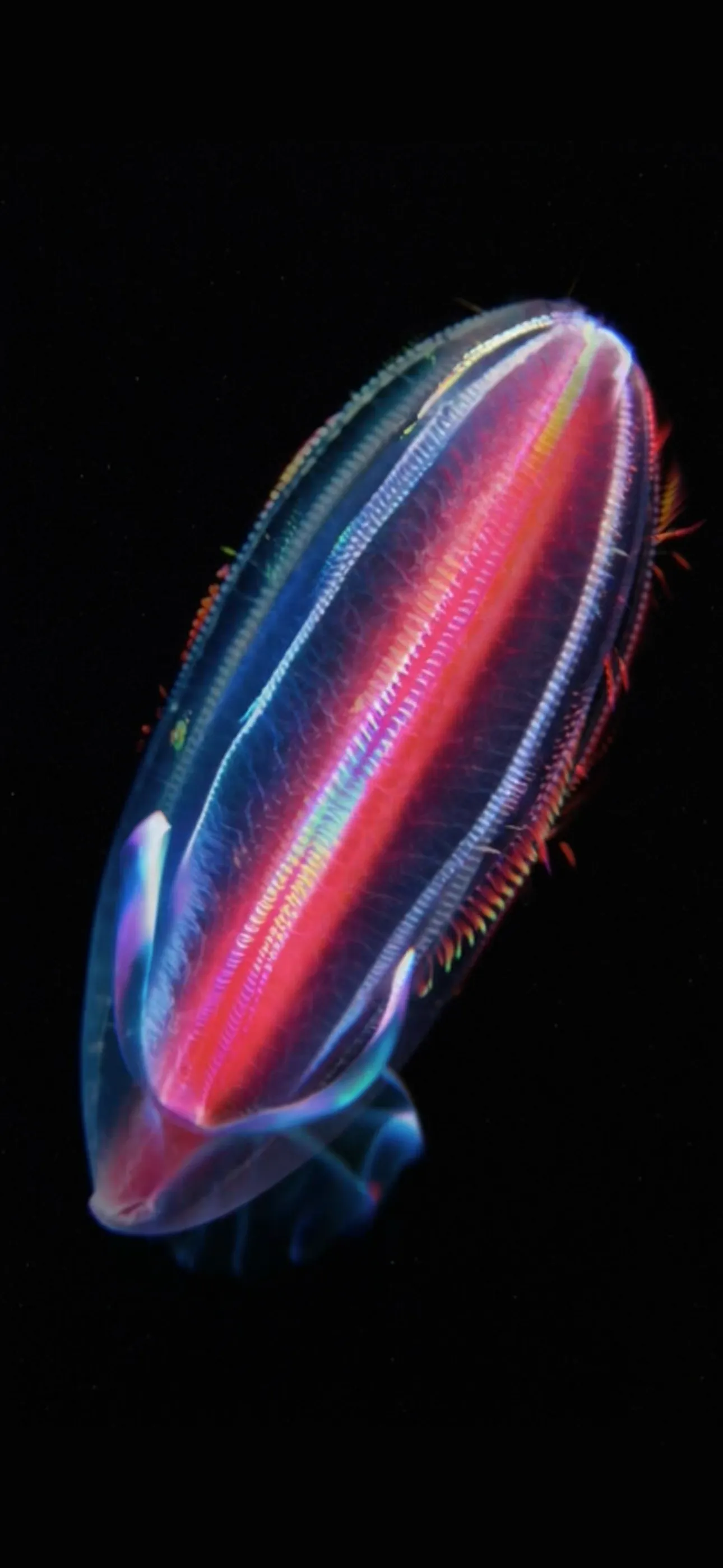 Life on Io screenshot