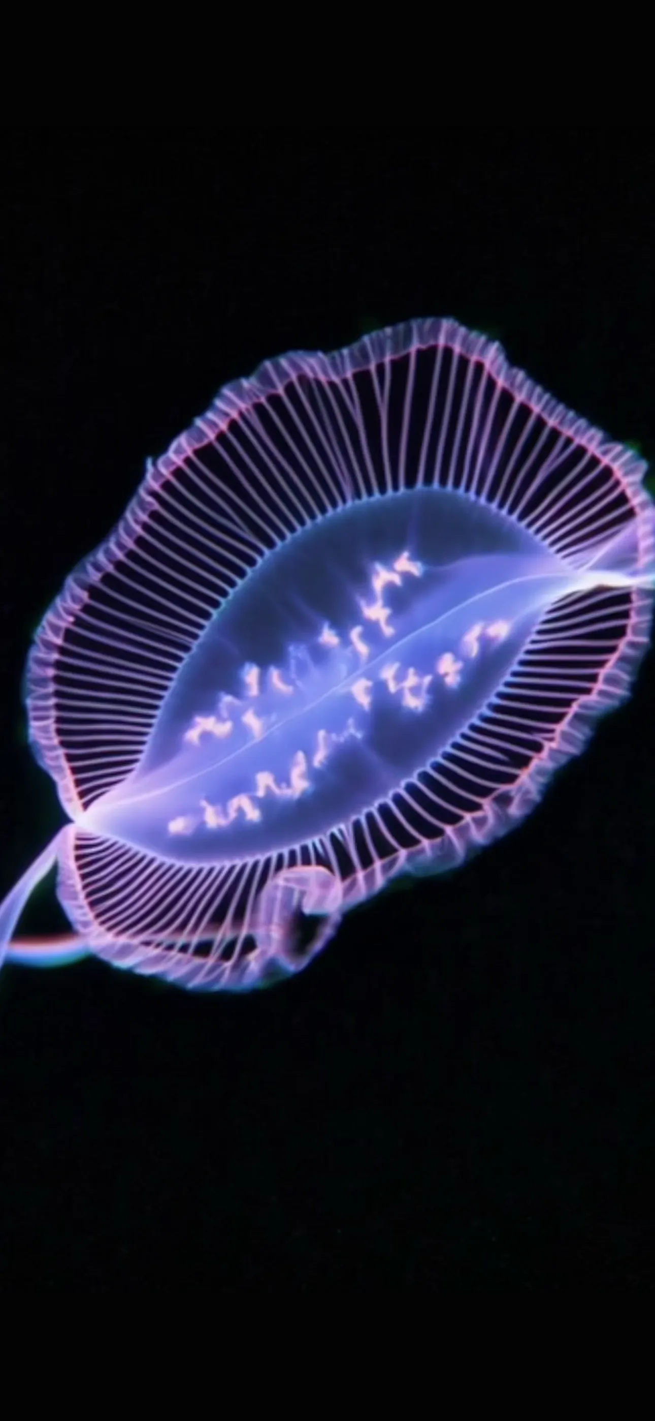 Life on Io screenshot